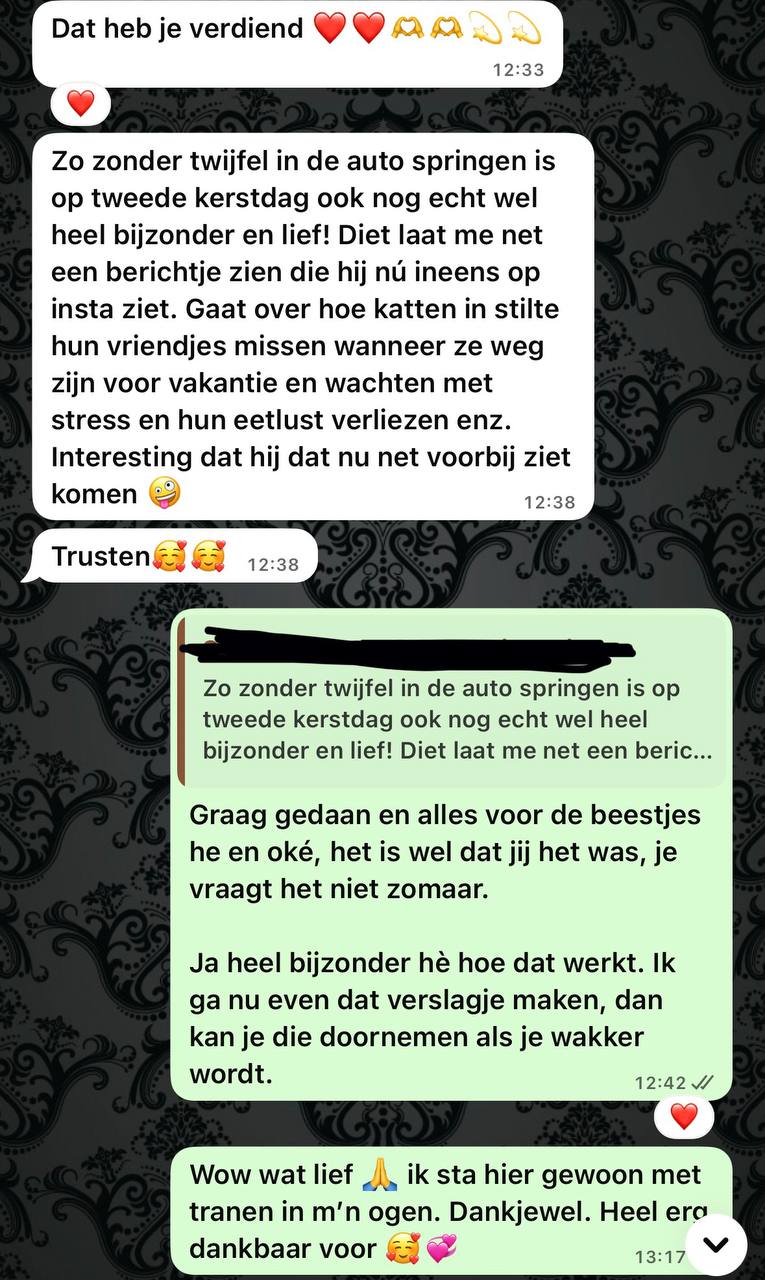 Review Birgitte